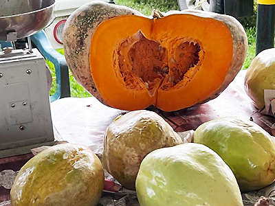 how-to-cook-with-pumpkin-raw