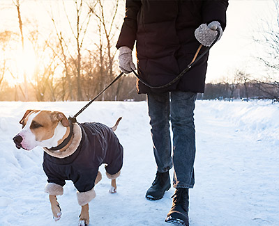 Amazon-Winter-Apparel-on-Sale